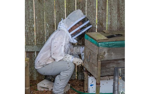 Bee Removal by Bird and Bee Hawaii LLC