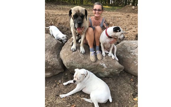 Volunteering Opportunities by National Boxer Rescue