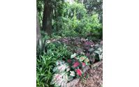 Tours and Plants by Nehrling Gardens