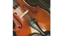 Music Lessons & Instruction by Vivid Music Studio