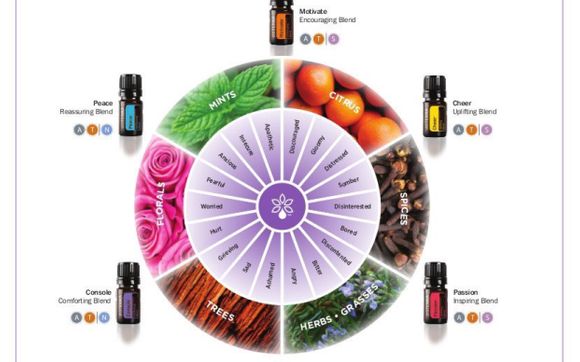 Emotional Therapy  by Dōterra Naturally Essential