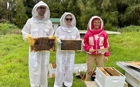 Educational Programs by Bird and Bee Hawaii LLC