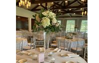Wedding & Event Florist by Tinted Tulip