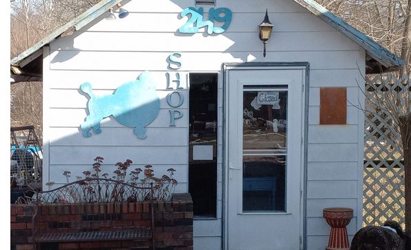 dog house grooming shop