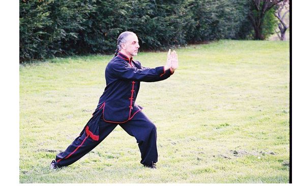 Tai Chi for Parkinson's Disease  by Edward Niam