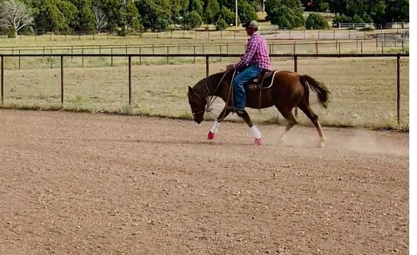 full-size-250-x300-riding-arena-by-the-weber-ranch-in-pinedale-az