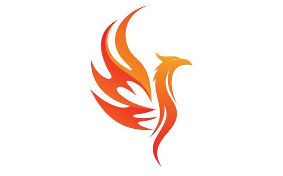 Investment Property Loans by Phoenix Loan Solutions Inc (NMLS 1996635)