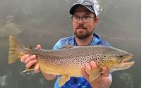 Fishing Charter by Busch Mountain Fishing Guide Service