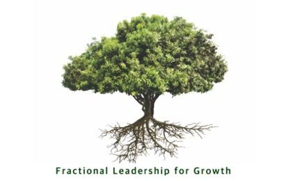 Fractional Leadership by VENSTAGE