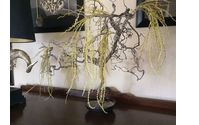 Weeping Southern Tree by Interior Dimensions and Design, LLC