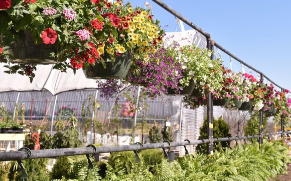 Garden Center and Gift Shop by Blooms Garden Center / BladeWorks Landscaping