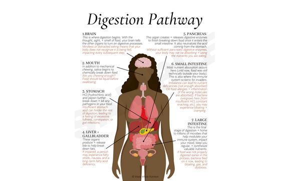 handout templates by Made Whole Nutrition
