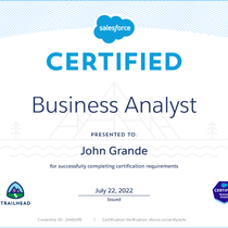 Business Analyst by John Grande