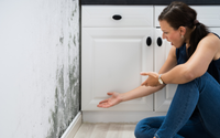Mold Remediation by All Dry Services of Miami