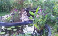 Landscaping, Pond Maintenance, Home Improvement by RVA City Repairs