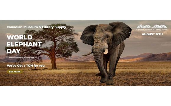 st patricks day elephant
