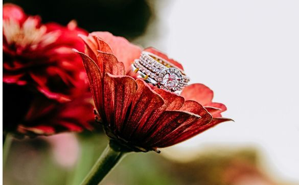 Product Photography by Buesching Photography