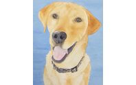 Pet Portrait by Laurel Best Fine Art
