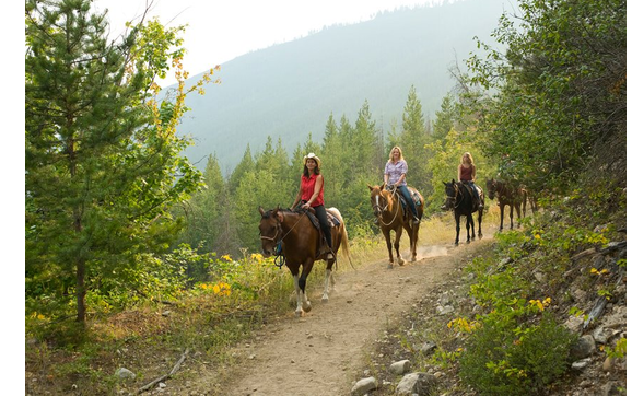 Guided Trail Rides by High Country Trail Rides in Salmon Arm, BC ...