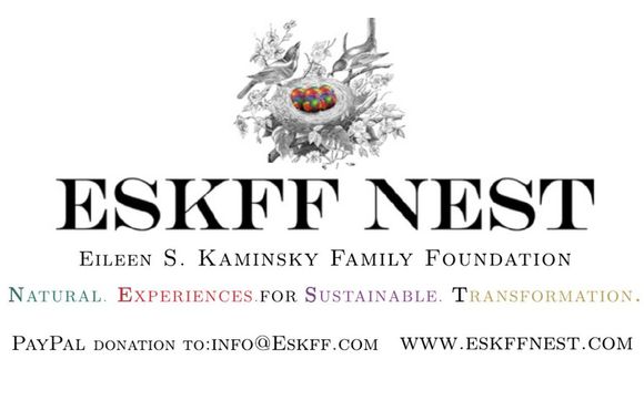 Virtual Appointments by ESKFF NEST