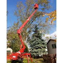 STUMP GRINDING, TREE REMOVAL AND TRIMMING  by Accurate Tree Service and Stump Grinding, LLC - PHONE: 608-347-8510