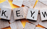 Advanced Local SEO Services by Randy Lyman (Lakeshore Local SEO)