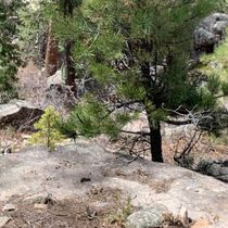 Exercise Programs by Bella Angottu