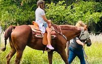 Support Us with Tax-Deductible Donations by GodSpeed Equine