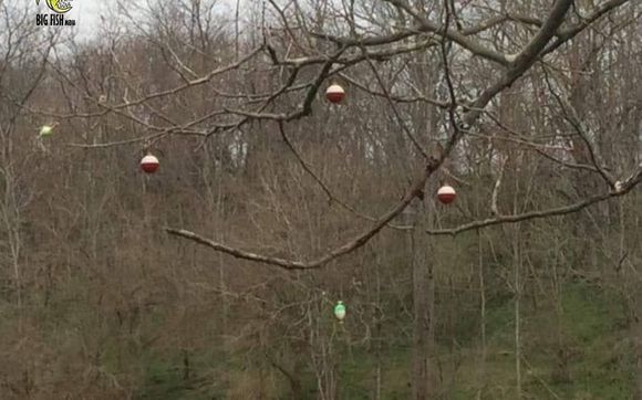 Bait & Tackle by Custom Tackle and Bait LLC