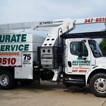 Tree removal, tree trimming and stump grinding.  by Accurate Tree Service and Stump Grinding, LLC - PHONE: 608-347-8510