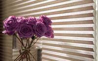 Cellular Shades by All American Blind Co