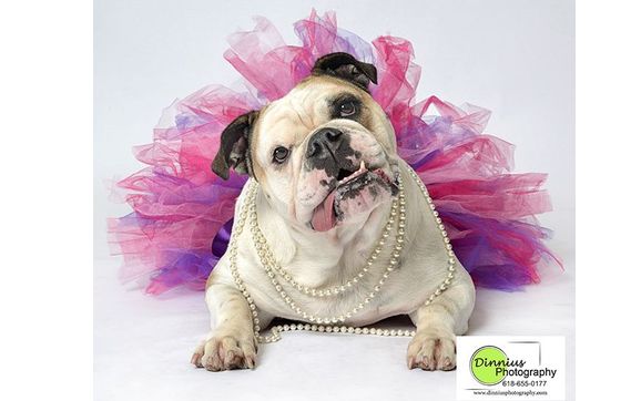 Pet Photograher by Dinnius Photography
