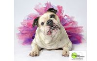Pet Photograher by Dinnius Photography
