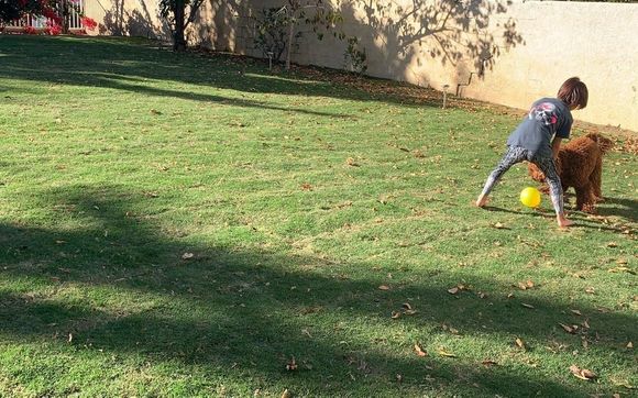 Sod Instalation by Rueda Landscaping & Grading/ Crow Trucking 