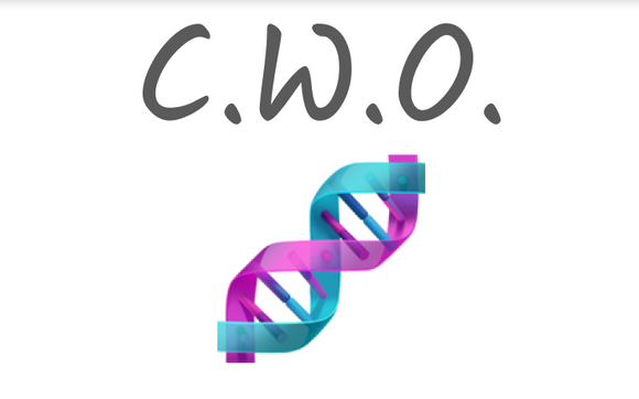 Chief Workflow Officer Membership by XRay.Tech