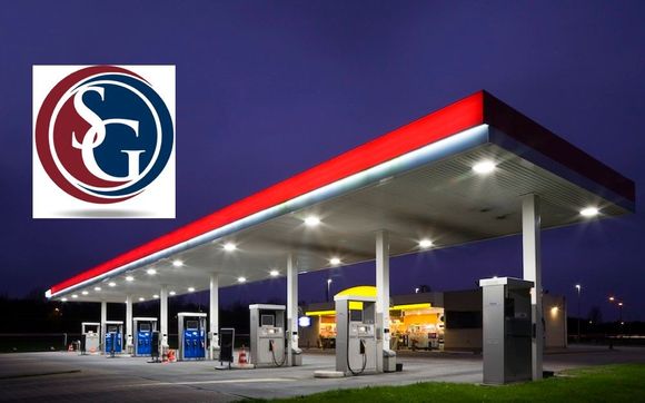 Professional Opinion of Value by The Saleh Group