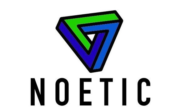 Executive Leadership Coaching by Noetic Outcomes Consulting, LLC