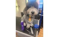 Grooming by Kat’s Professional Grooming/ LLC