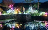 Vintner Lights Opens Thanksgiving Weekend at Saffron Fields Vineyard by Saffron Fields Vineyard