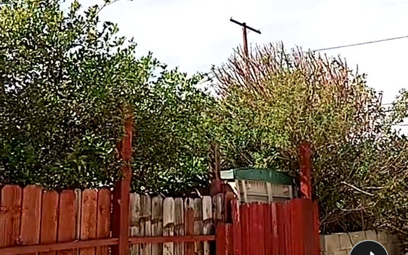 Tree Cutting Service by Rueda Landscaping & Grading/ Crow Trucking 