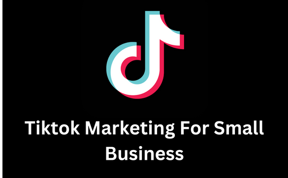 Tiktok Marketing For Small Business- HD Video Course by My Learning ...