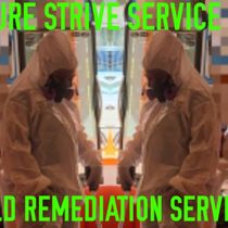 FREE ESTIMATES - DON'T WAIT - MOLD services.  by A PURE STRIVE SERVICE LLC