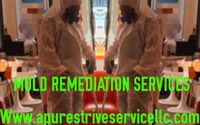FREE ESTIMATES on Mold Remediation, Removal & Treatment Services.  by A PURE STRIVE SERVICE LLC
