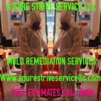 FREE ESTIMATES on Mold Remediation, Removal & Treatment Services.  by A PURE STRIVE SERVICE LLC