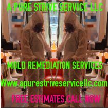 FREE ESTIMATES on all Mold services. by A PURE STRIVE SERVICE LLC
