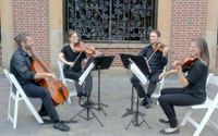 Live music performances  by Viva la Strings