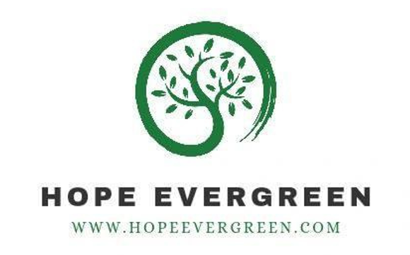 Adult - Child - Couples Counseling by Hope Evergreen LLC