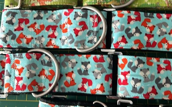 2" custom martingale collar by T&S Doggie Designs 