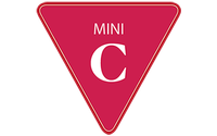 Mini-Consult by ENVHA - Environments for Health and Advancement