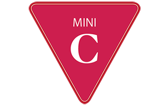 Mini-Consult by ENVHA - Environments for Health and Advancement